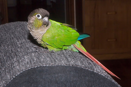360_F_246286072_Hd1ZMym8tjI0TDChOqrZl2QxxAx1iDVq