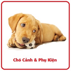 Dog_Chew
