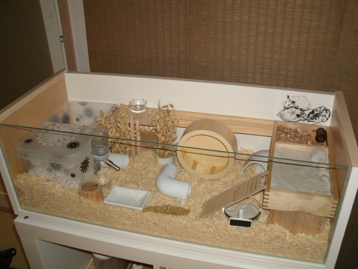Glass Hamster Cage