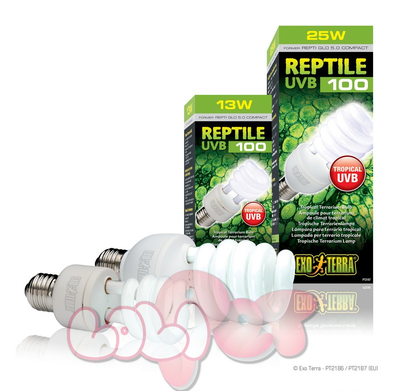 SET BOX BULB_Reptile UVB100_EU_RGB
