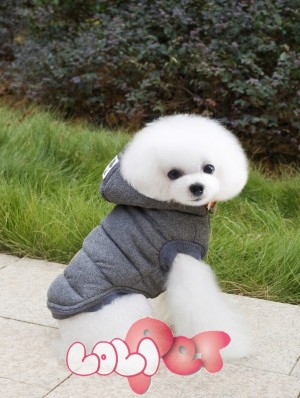 ao phao teddy cho cho (1)