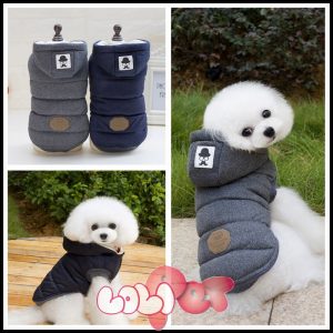 ao phao teddy cho cho (2)