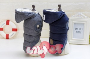 ao phao teddy cho cho (9)