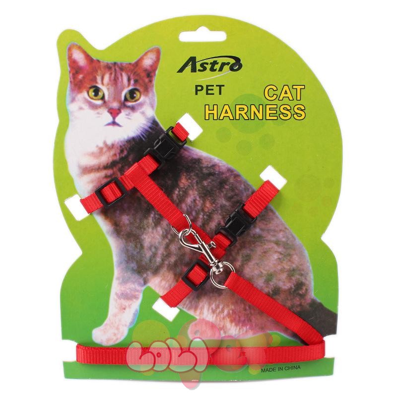 dây dắt mèo astro 5